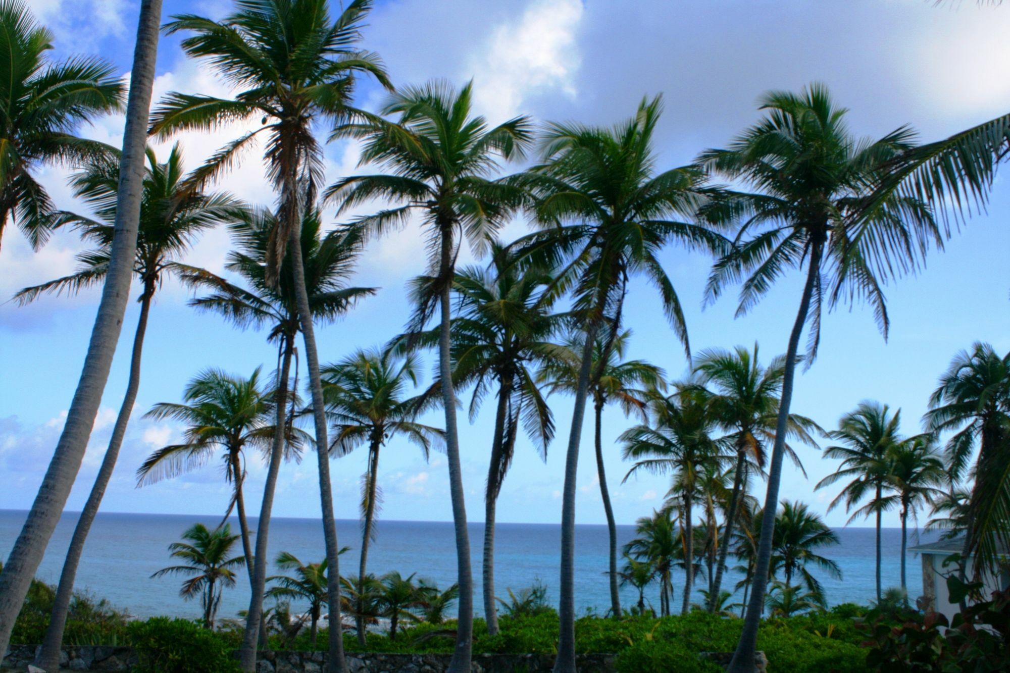 Stella Maris Resort Club Exterior foto